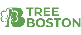 Tree Bostan